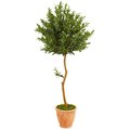 Nearly Naturals 63 in. Olive Topiary Artificial Tree in Terra Cotta Planter 9342